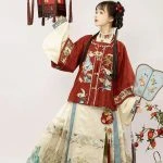 Ming Dynasty New Year Hanfu Vintage Crane Winter Horse Face Skirt
