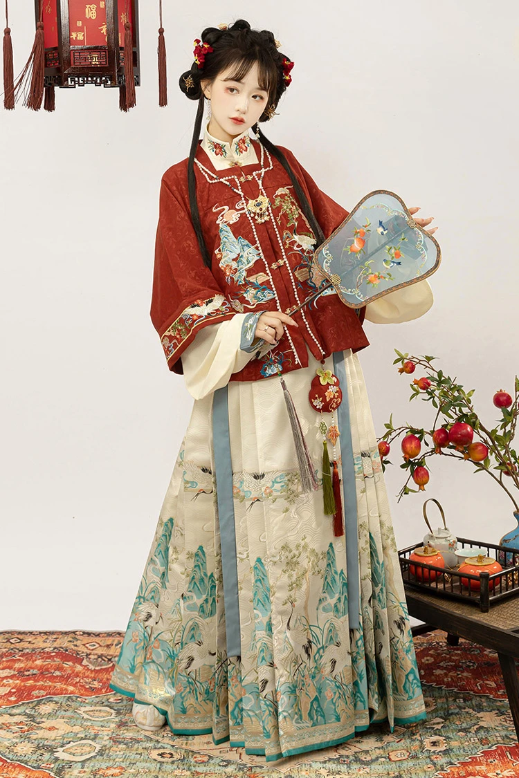 Ming Dynasty New Year Hanfu Vintage Crane Winter Horse Face Skirt