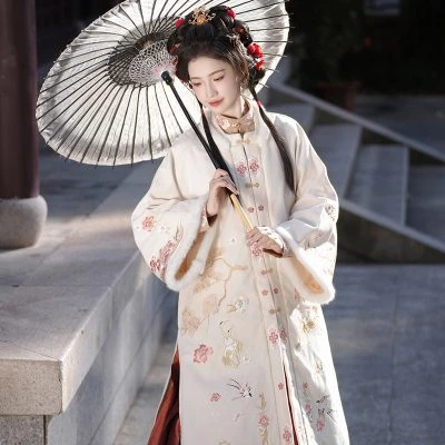 Women Winter Aoqun Ming Dynasty Thick Hanfu Coat