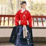 ren aoqun hanfu dress newhanfu