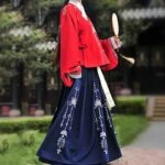 ren aoqun hanfu dress newhanfu