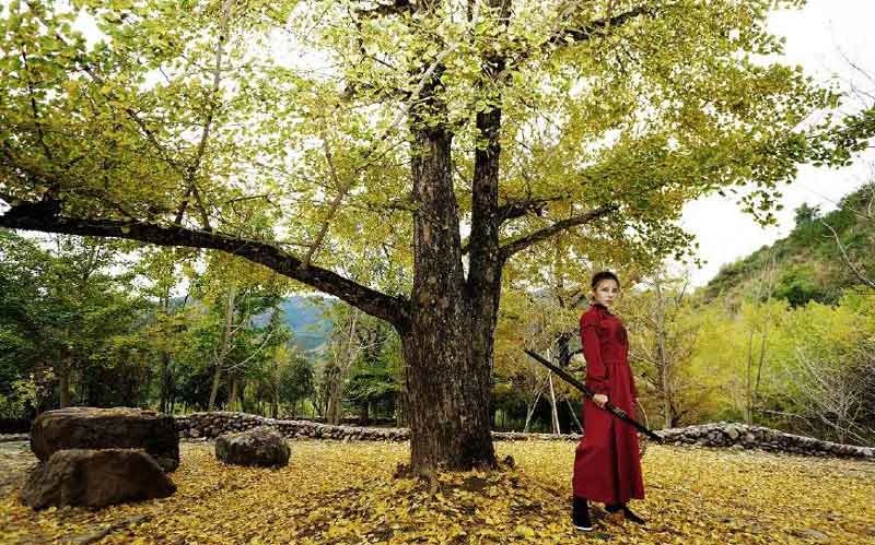 Hanfu Complete Your Martial Arts Dream