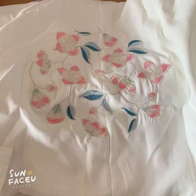 aoqun hanfu dress