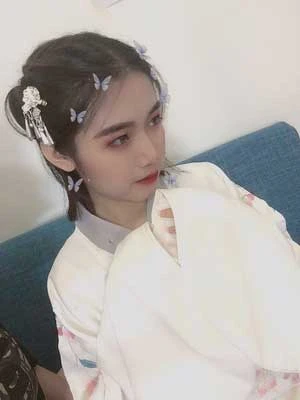 aoqun hanfu dress