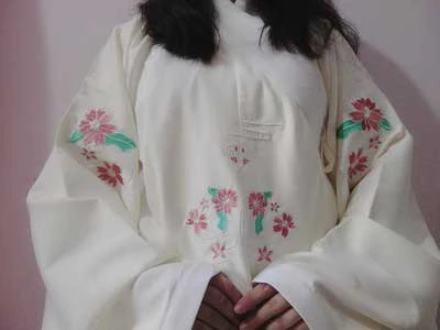 aoqun hanfu dress