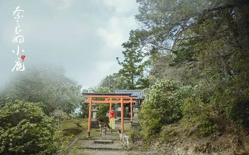 Do You Want Wear Hanfu Travel Around the World japan?