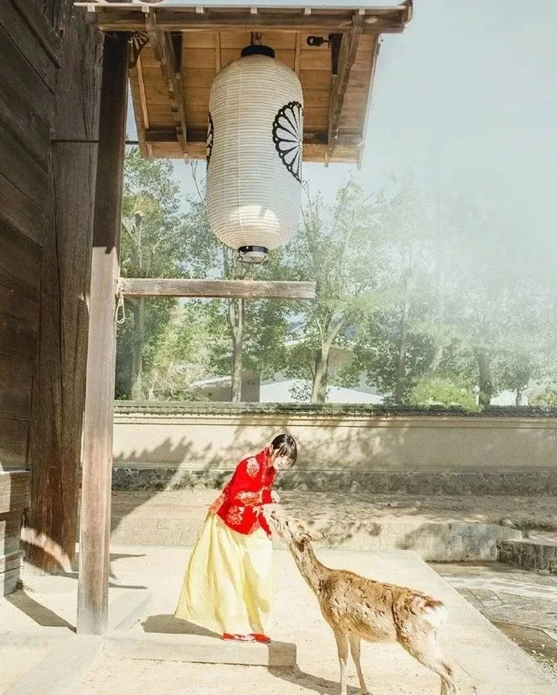 Do You Want Wear Hanfu Travel Around the World japan?