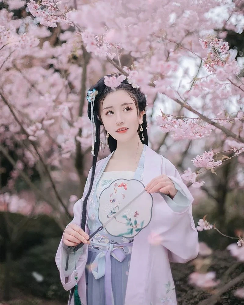 Cherry Blossoms, Hanfu and Girls