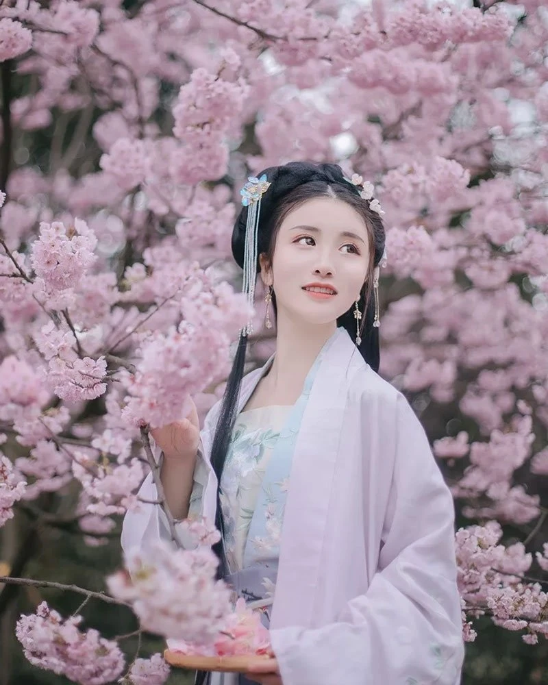 Cherry Blossoms, Hanfu and Girls