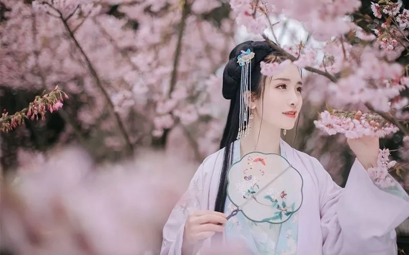 Cherry Blossoms, Hanfu and Girls