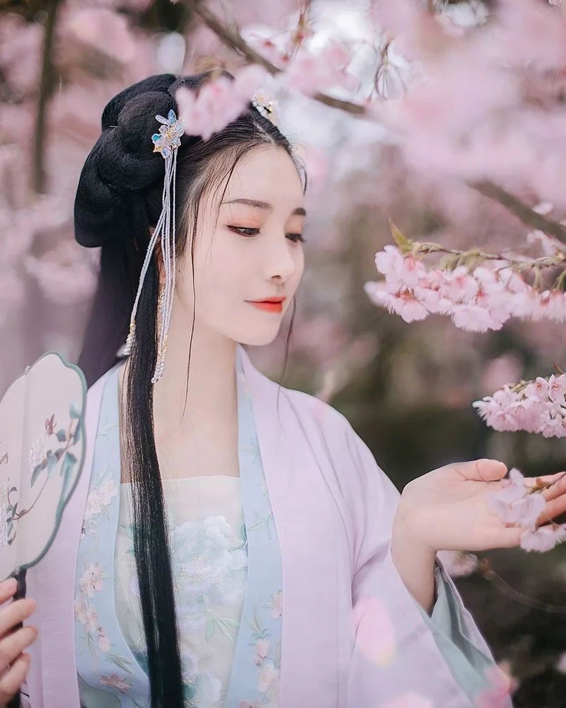 Cherry Blossoms, Hanfu and Girls