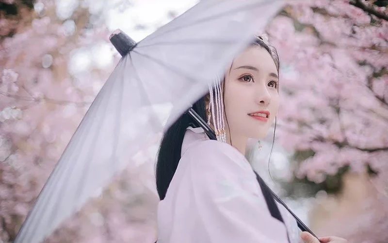 Cherry Blossoms, Hanfu and Girls