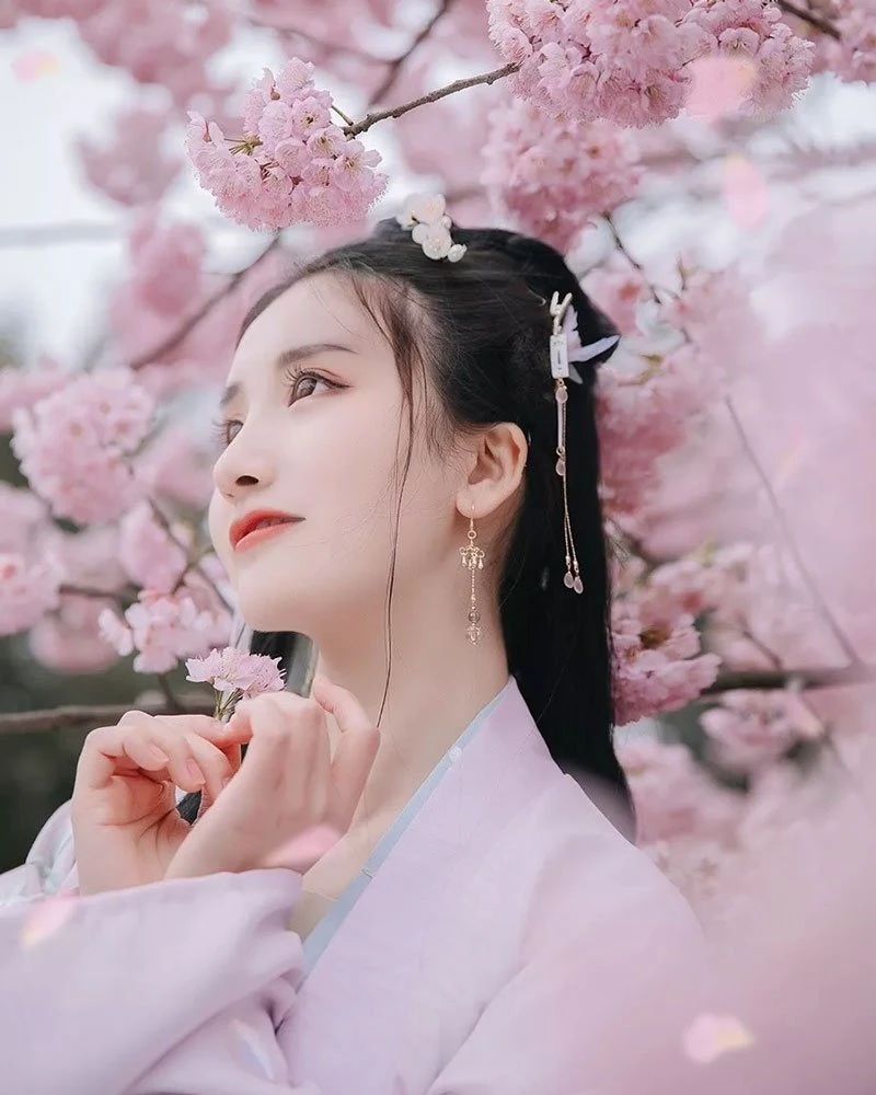 Cherry Blossoms, Hanfu and Girls