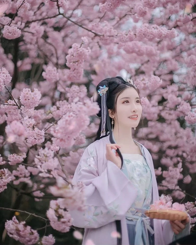 Cherry Blossoms, Hanfu and Girls