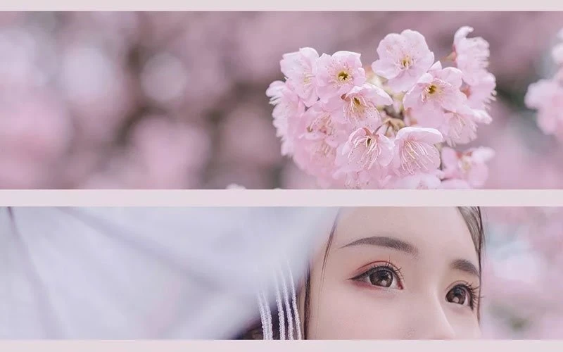 Cherry Blossoms, Hanfu and Girls