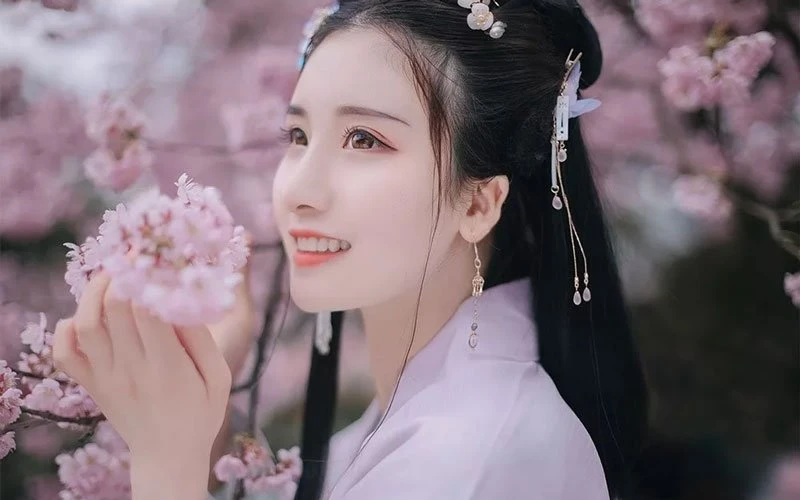 Cherry Blossoms, Hanfu and Girls