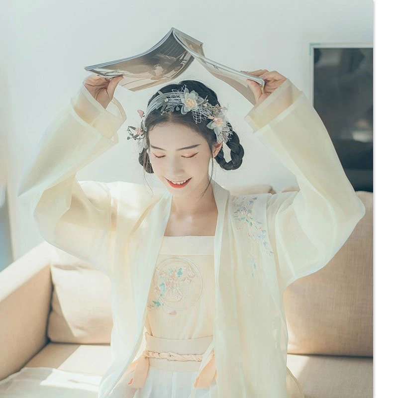 What kind of hanfu did the Song Dynasty wear?