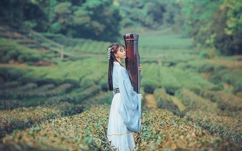 35 Best How to Pose for Hanfu Pictures