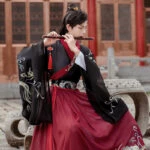 dragon ruqun hanfu buy