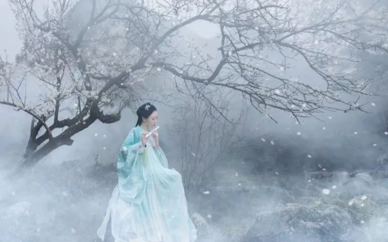 11 Props Make Hanfu Winter Photos Special