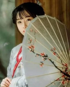 11 Props Make Hanfu Winter Photos Special