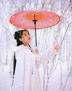 11 Props Make Hanfu Winter Photos Special