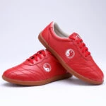 shop taichi kungfu taiji shoes
