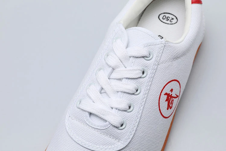 wushu kungfu wuxia shoes