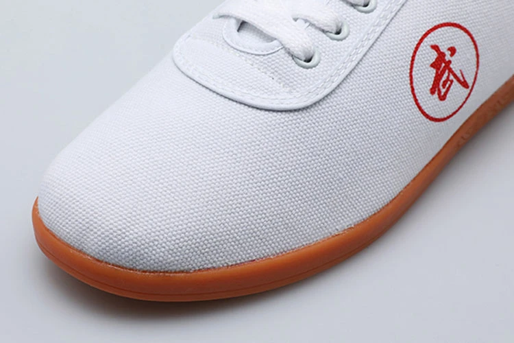 wushu kungfu wuxia shoes