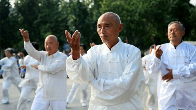 chinese practice kungfu in park