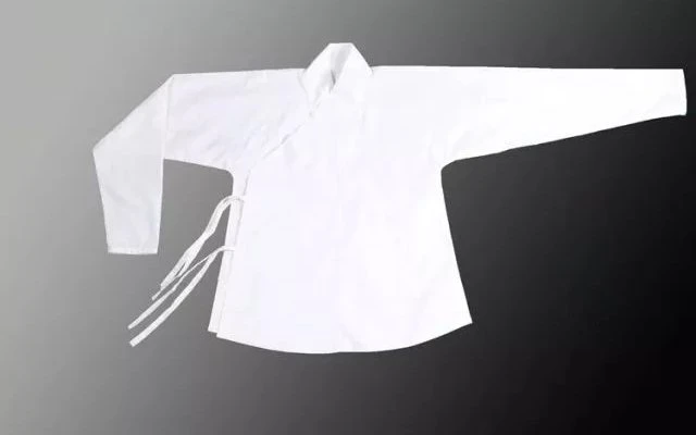 What is Chinese Shirt - Hanfu Zhongyi Introduce