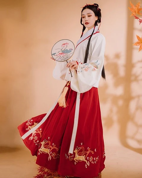 Different Kinds of Sleeves in Hanfu