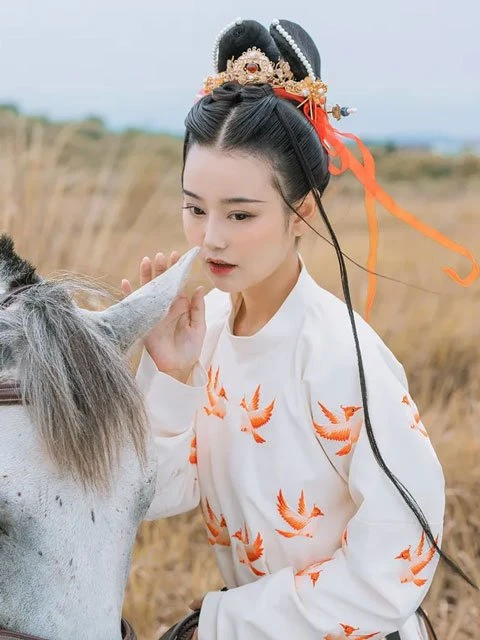 Will You Like the Combination of Hanfu & Cartoon / TV series?
