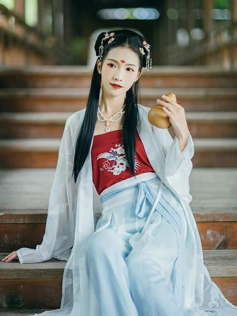Beauty Oriental Style Top - Fashion from Song Dynasty