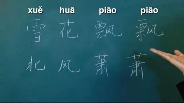 Learn the Popular Chinese Song “Xue Hua Piao Piao”