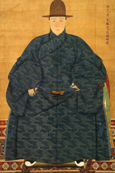 Chinese Man Costume | Ming Style Hanfu Outerwear: Zhishen