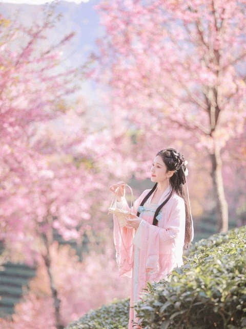 Perfect Combination of Hanfu Clothing & Beautiful Scenery