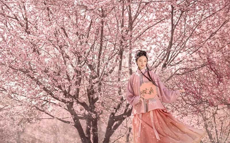 5 Adorable Pink Hanfu You'll Want to Wear
