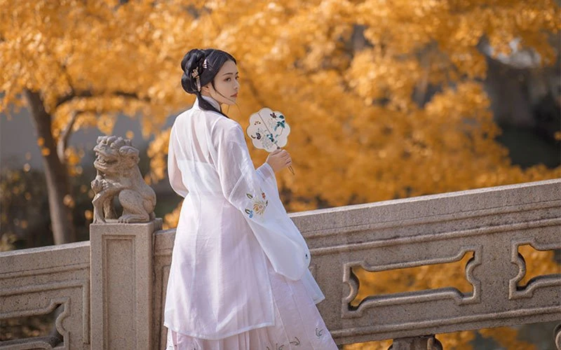How to Wear Hanfu: Covers Most Hanfu Styles - Updating