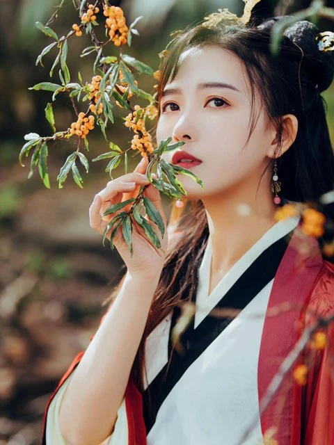 The Cultural Code of Modern Chinese Hanfu Clothing