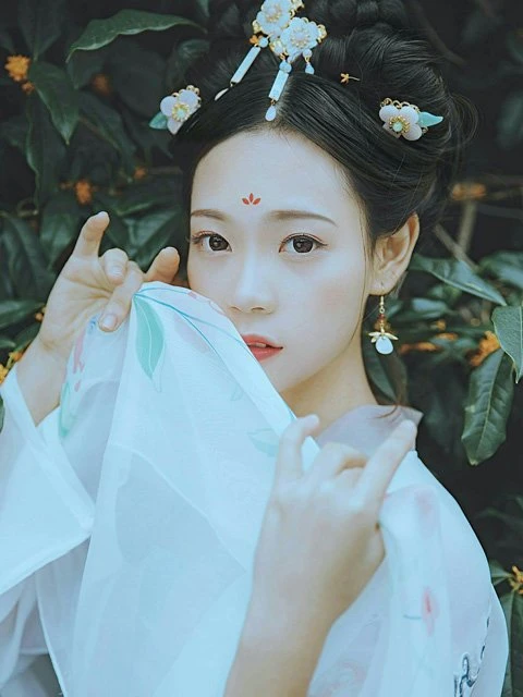 Huadian - A Special Hanfu Makeup for Female
