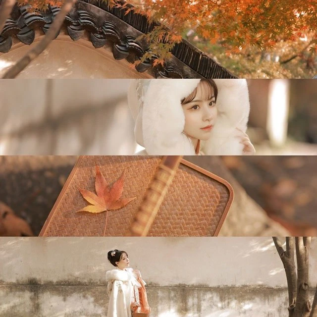 Chinese Costume Photography - Hanfu Girl in Autumn
