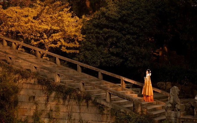 Chinese Costume Photography - Hanfu Girl in Autumn