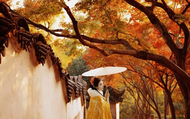 Chinese Costume Photography - Hanfu Girl in Autumn