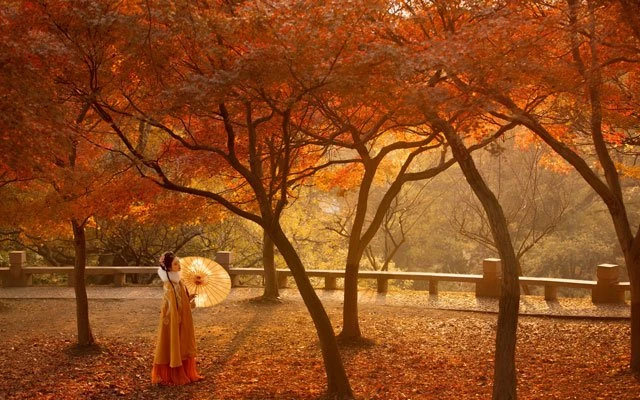 Chinese Costume Photography - Hanfu Girl in Autumn