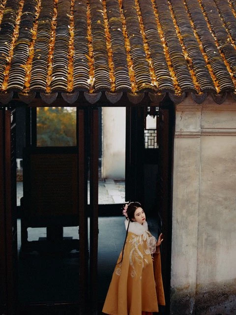 Chinese Costume Photography - Hanfu Girl in Autumn