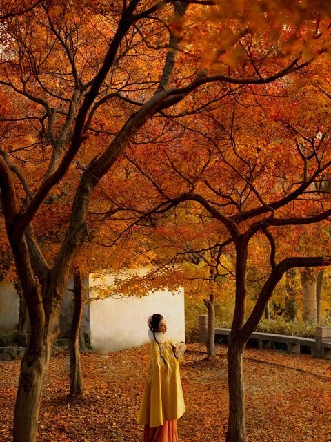 Chinese Costume Photography - Hanfu Girl in Autumn