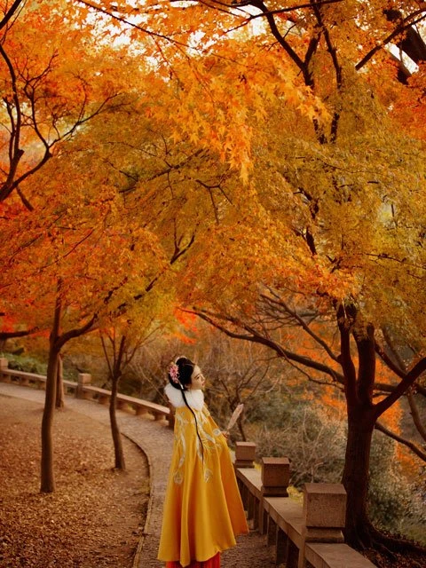 Chinese Costume Photography - Hanfu Girl in Autumn