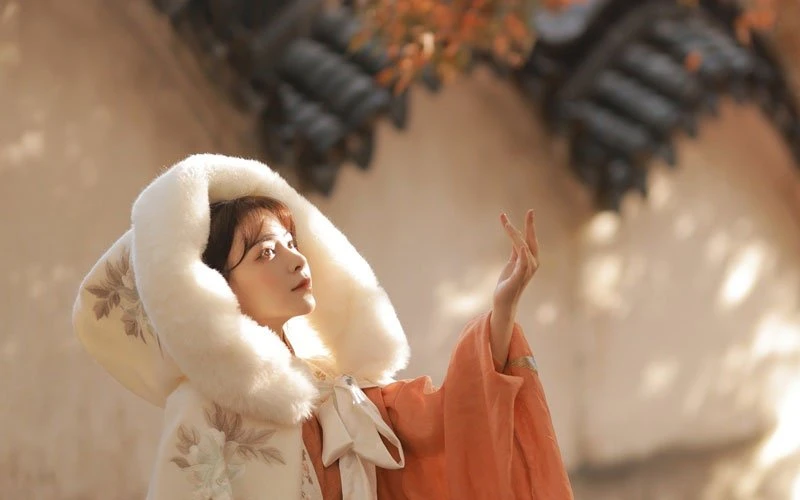 Chinese Costume Photography - Hanfu Girl in Autumn