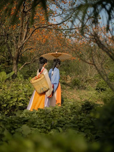 Harvest Autumn & Hanfu Girls